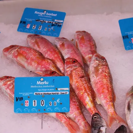 Apartment Bordeaux Village *